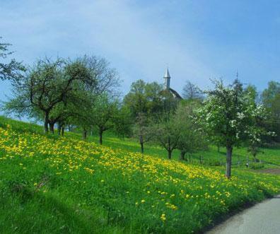 Landgasthof Hirschen Albbruck Buitenkant foto